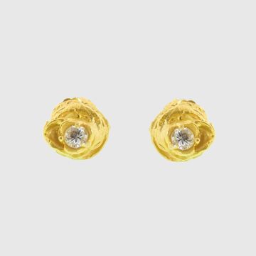 Earrings Silver Gold plated