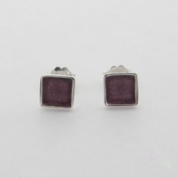 Silver Earrings with Enamel