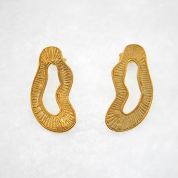 Silver Earrings Gold plated
