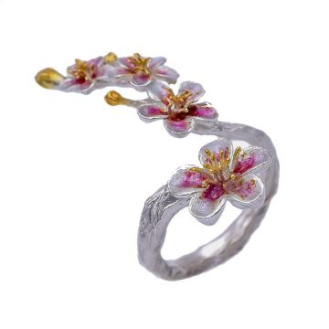 Ring aus Silber und Emaille
