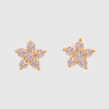  Earrings Yellow Gold 14ct