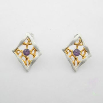 Silver Earrings Gold plated